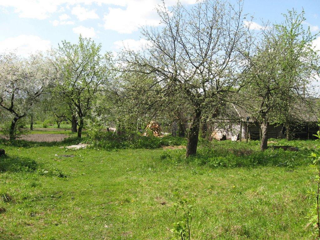 Полідарівка з panoramio.com - Полідарівка