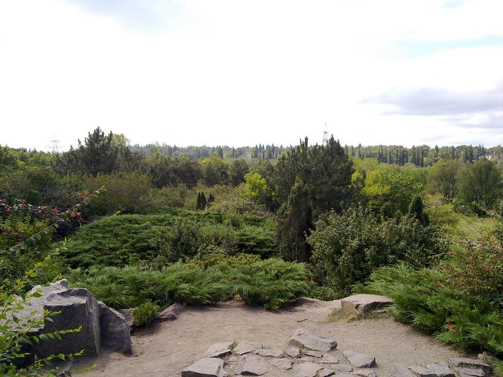 Кам'яне Поле з panoramio.com - Каменное Поле