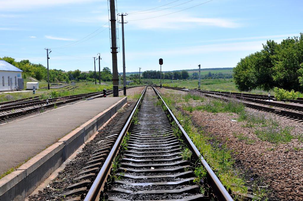 Троїцьке з panoramio.com - Троицкое