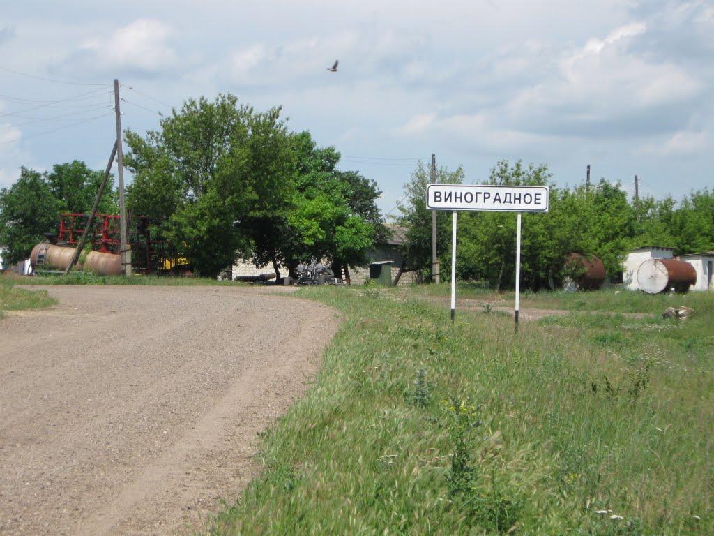 Нові Бутори з panoramio.com - Нові Бутори