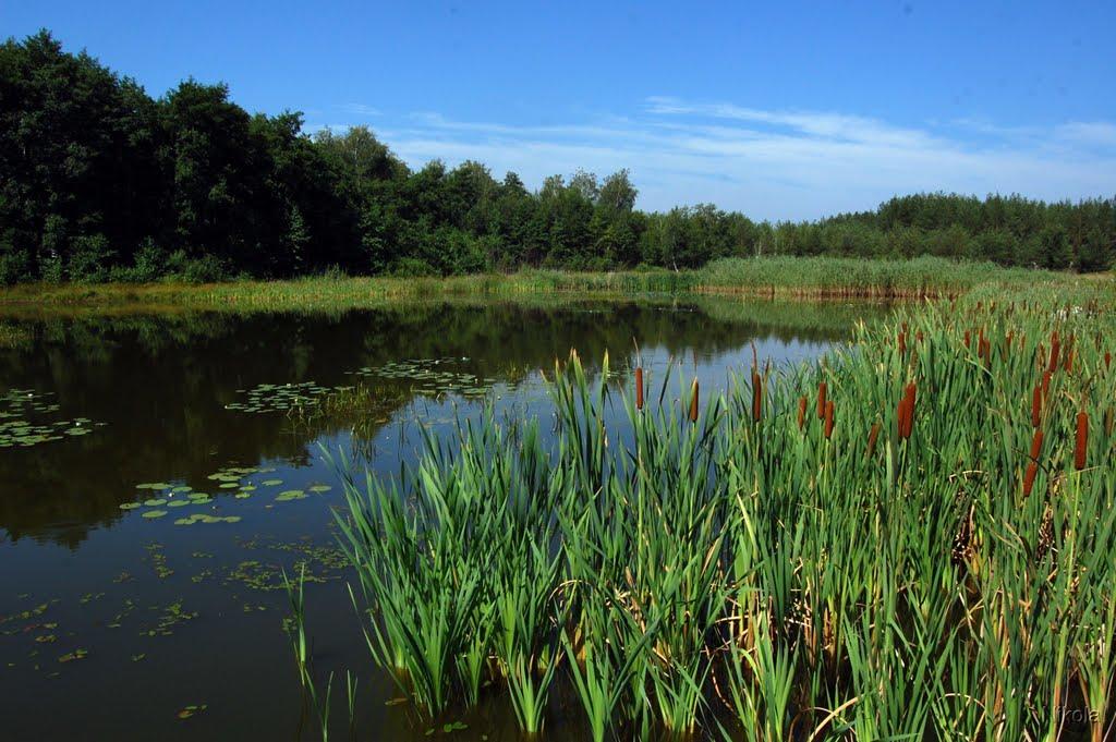 Смолянинове з panoramio.com - Смолянинове