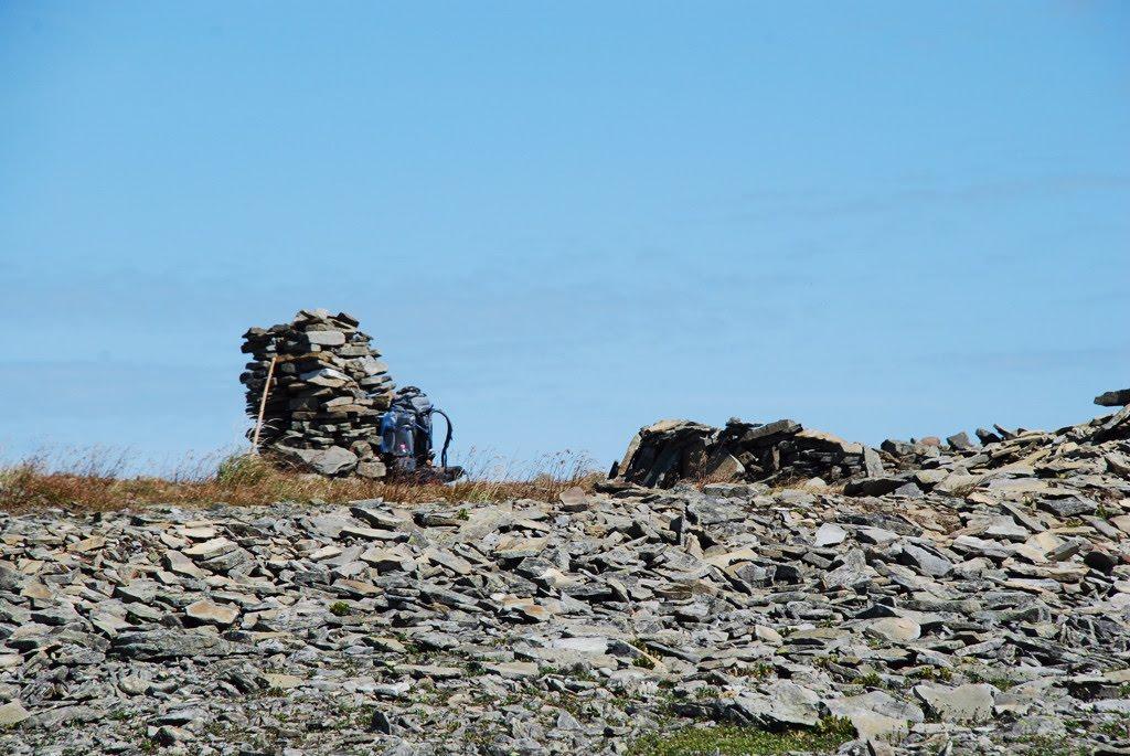 Осмолода з panoramio.com (ч.2) - Осмолода