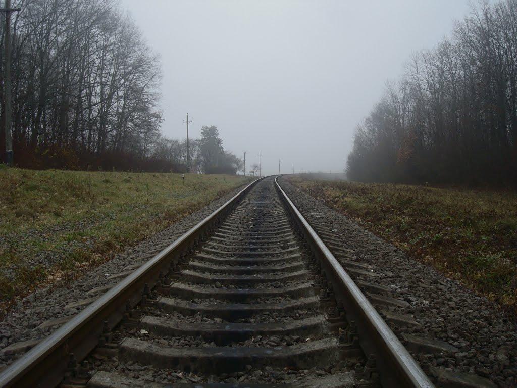 Соколівка з panoramio.com - Соколівка