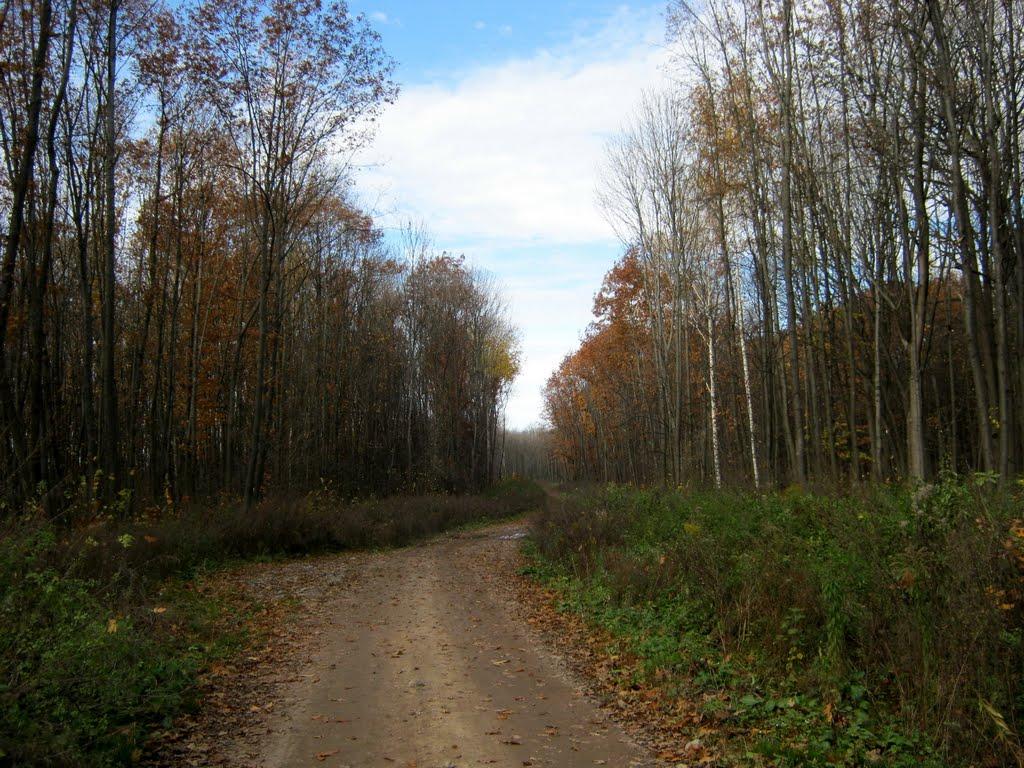 Кияниця з panoramio.com - Кияница