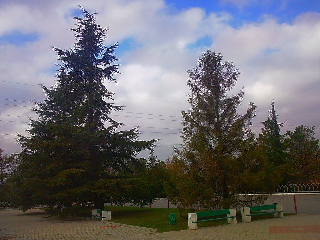 Молодіжне з panoramio.com - Молодіжне