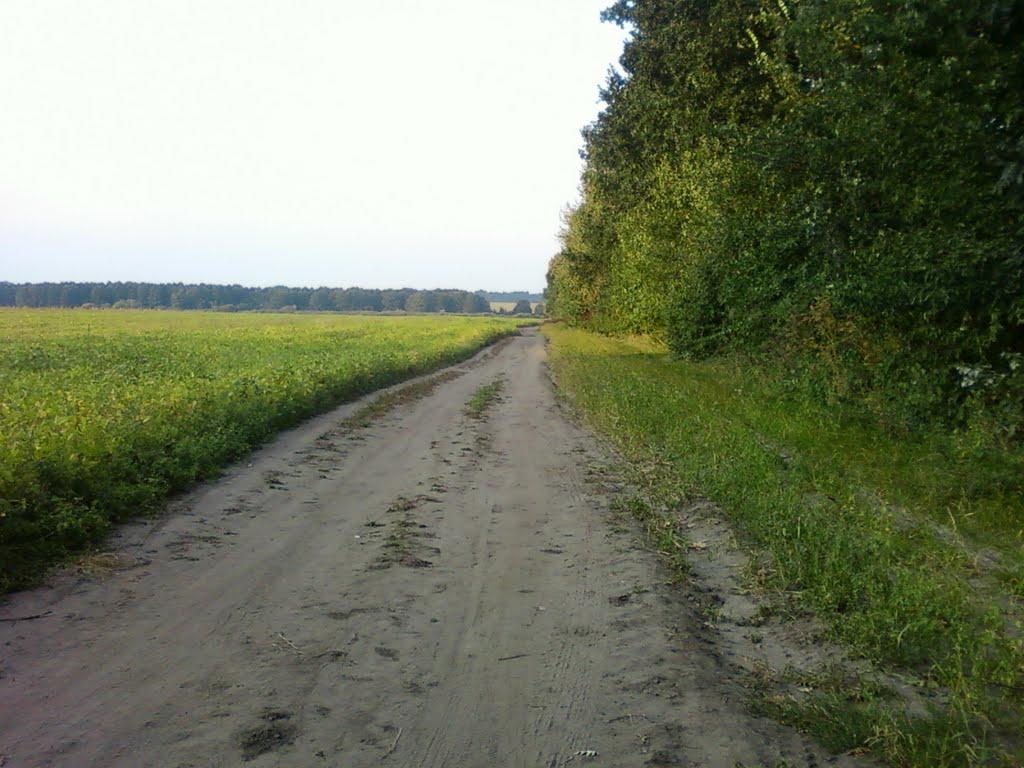 Сальник з panoramio.com - Сальник