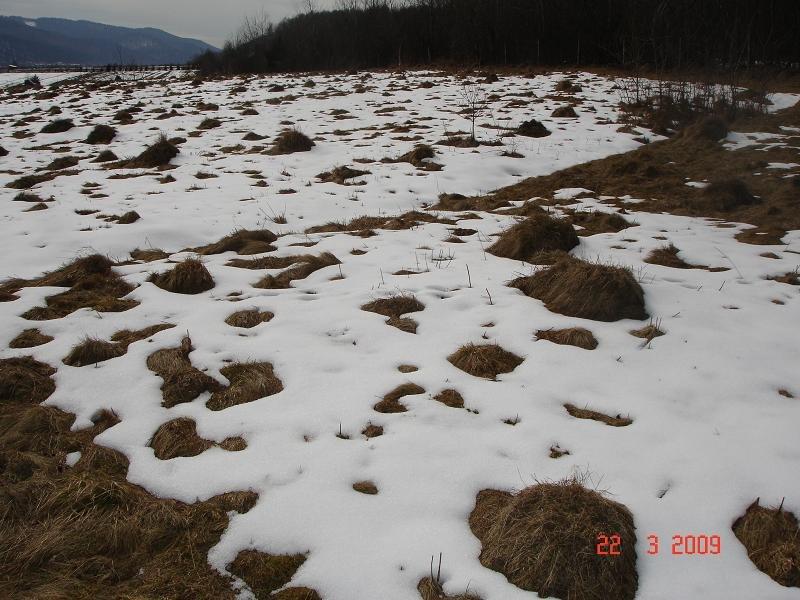 Красноїльськ з panoramio.com - Красноильск
