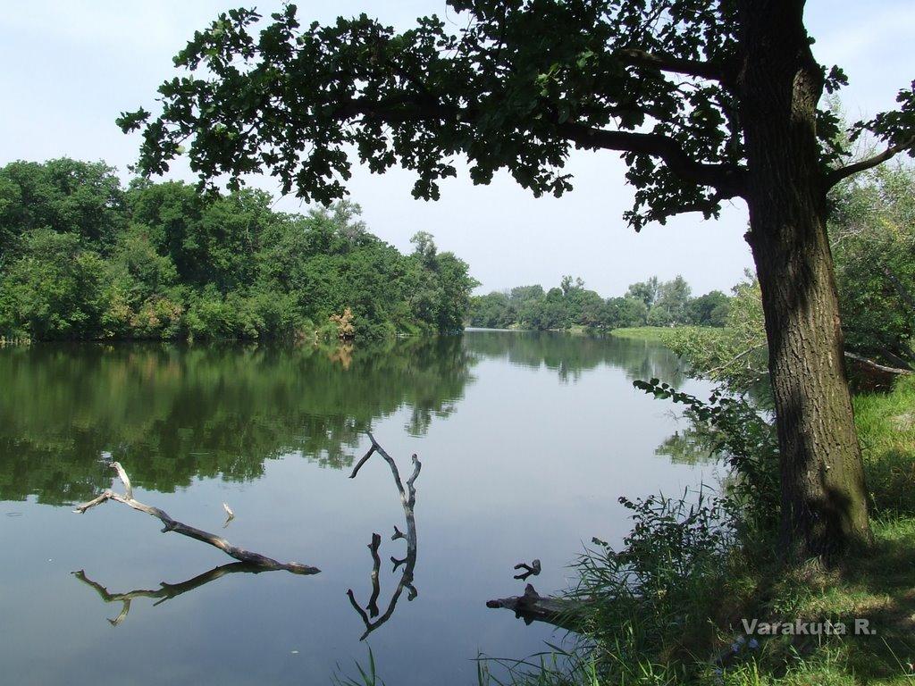 Нижнє з panoramio.com - Нижнє