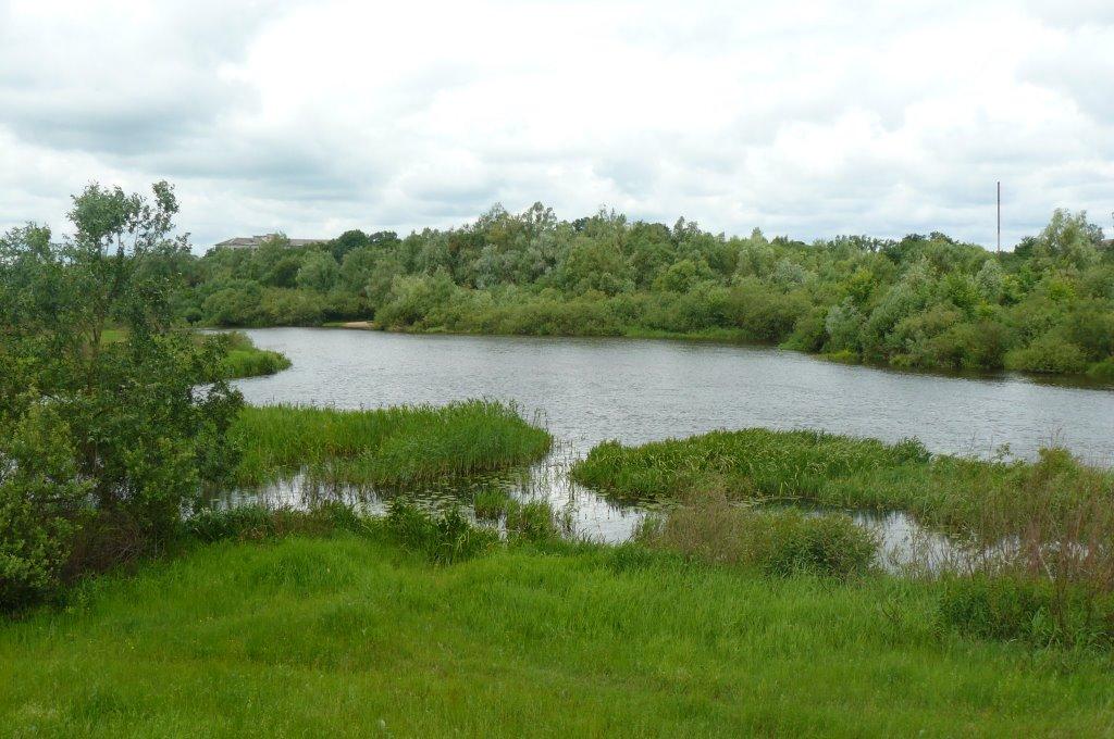 Народичі з panoramio.com - Народичи