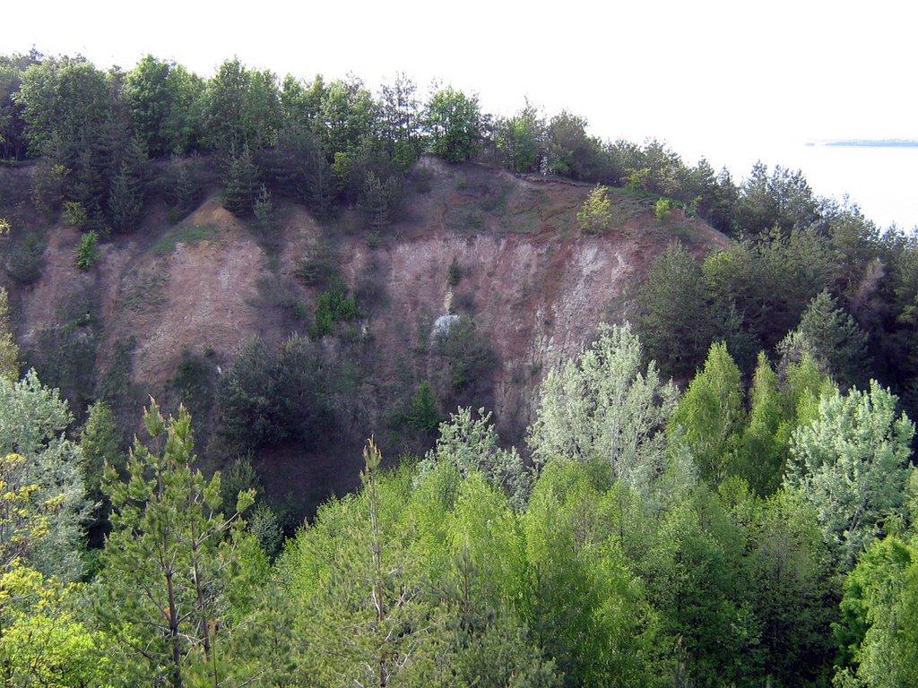 Витачів з panoramio.com - Витачев