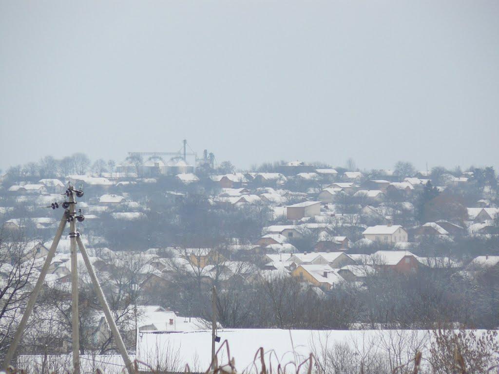 Копичинці з panoramio.com - Копичинці