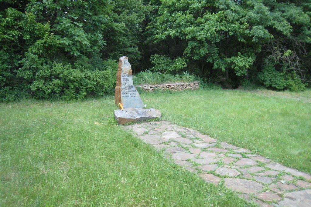 Маломиколаївка з panoramio.com - Маломиколаївка