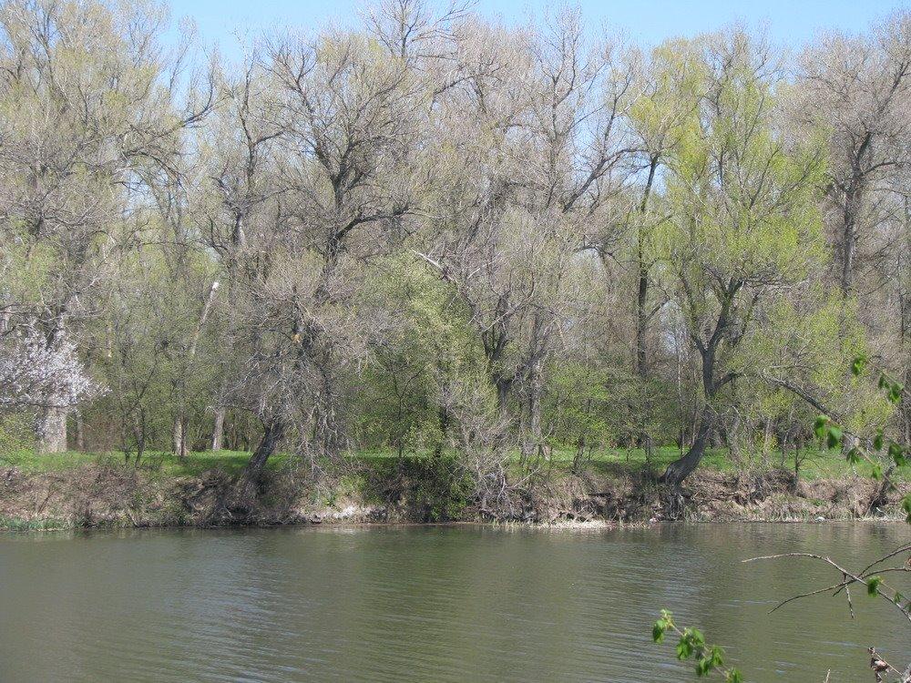 Червоногригорівка з panoramio.com - Червоногригоровка
