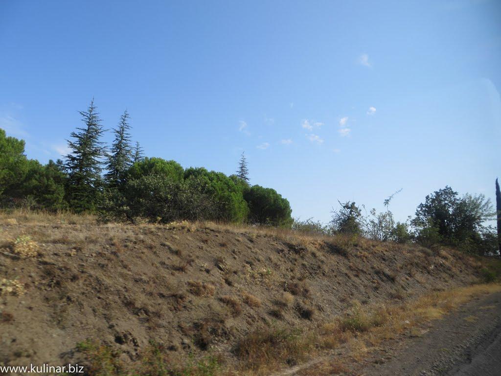 Сонячногірське з panoramio.com - Солнечногорское