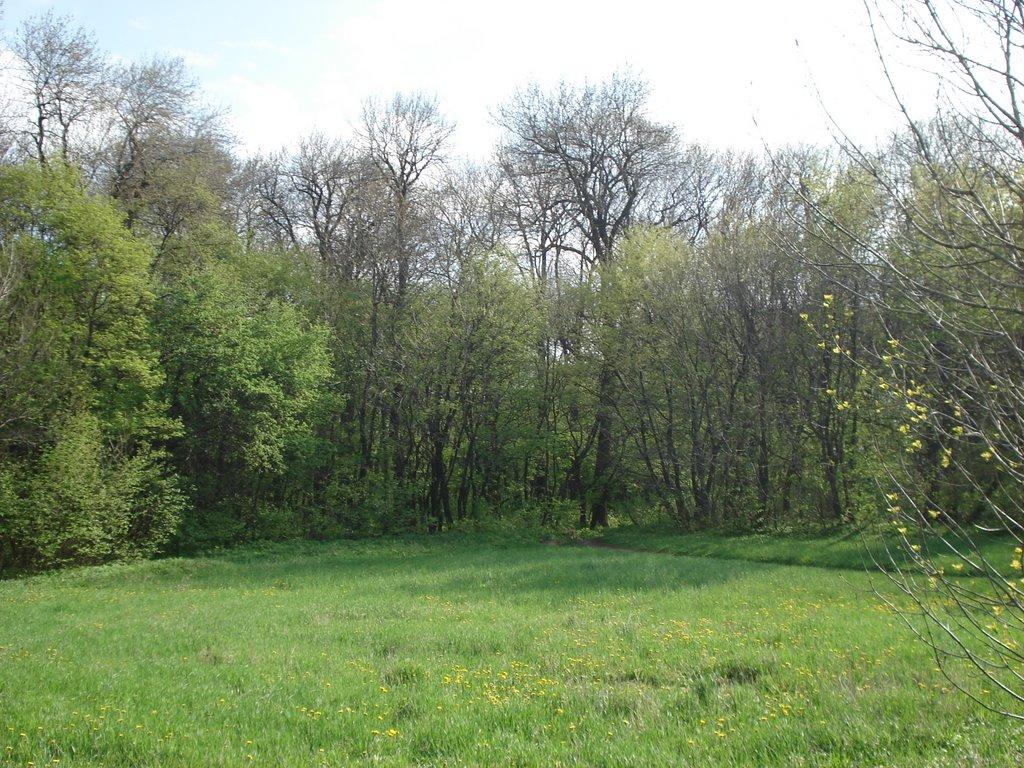 Ровеньки з panoramio.com - Ровеньки