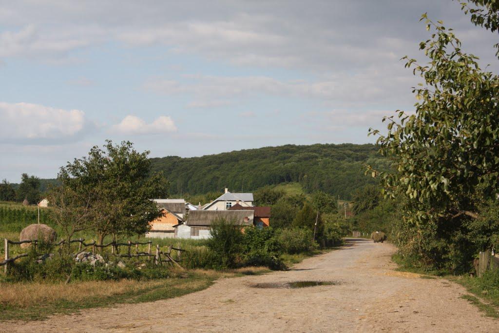 Рекшин з panoramio.com - Рекшин