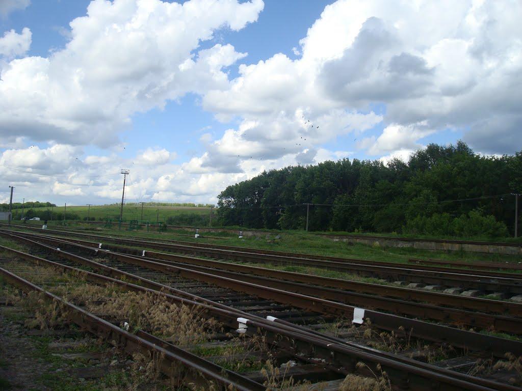 Томашівка з panoramio.com - Томашівка