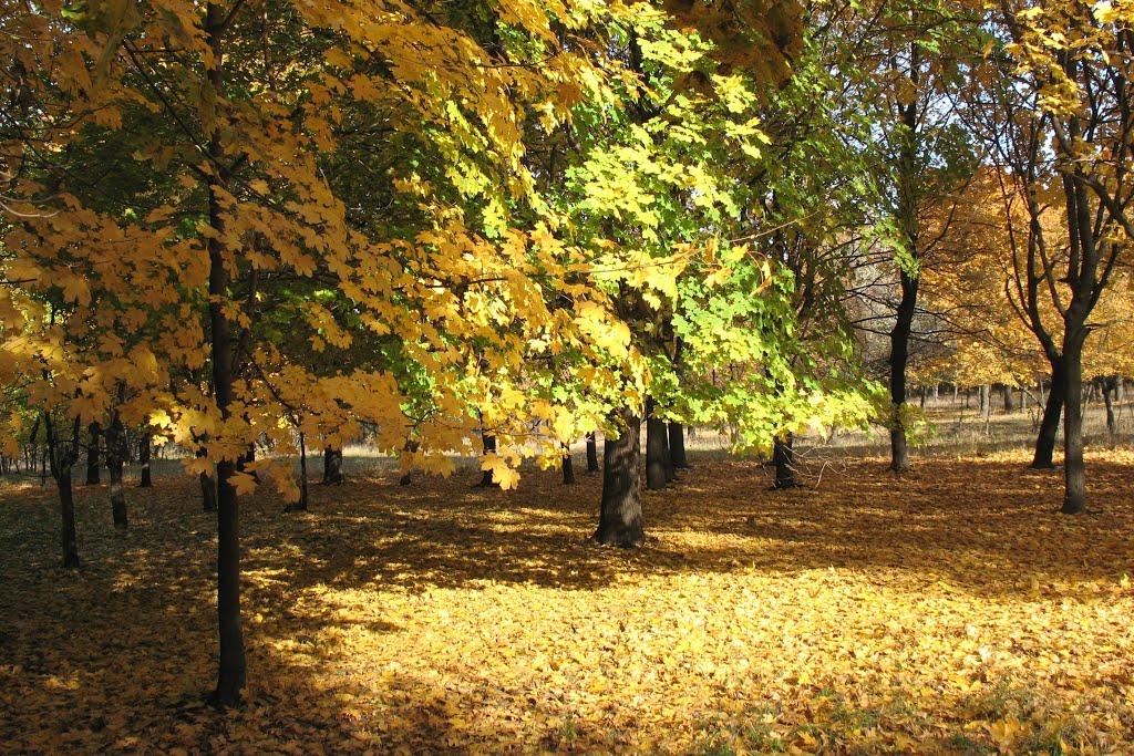 Ювілейне з panoramio.com - Yuvileyne