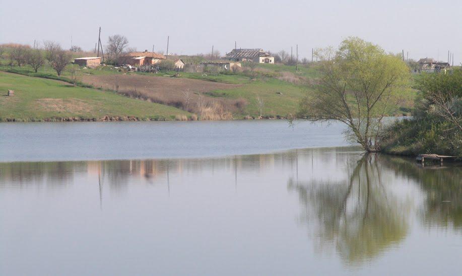 Новоолексіївка з panoramio.com - Новоалексеевка