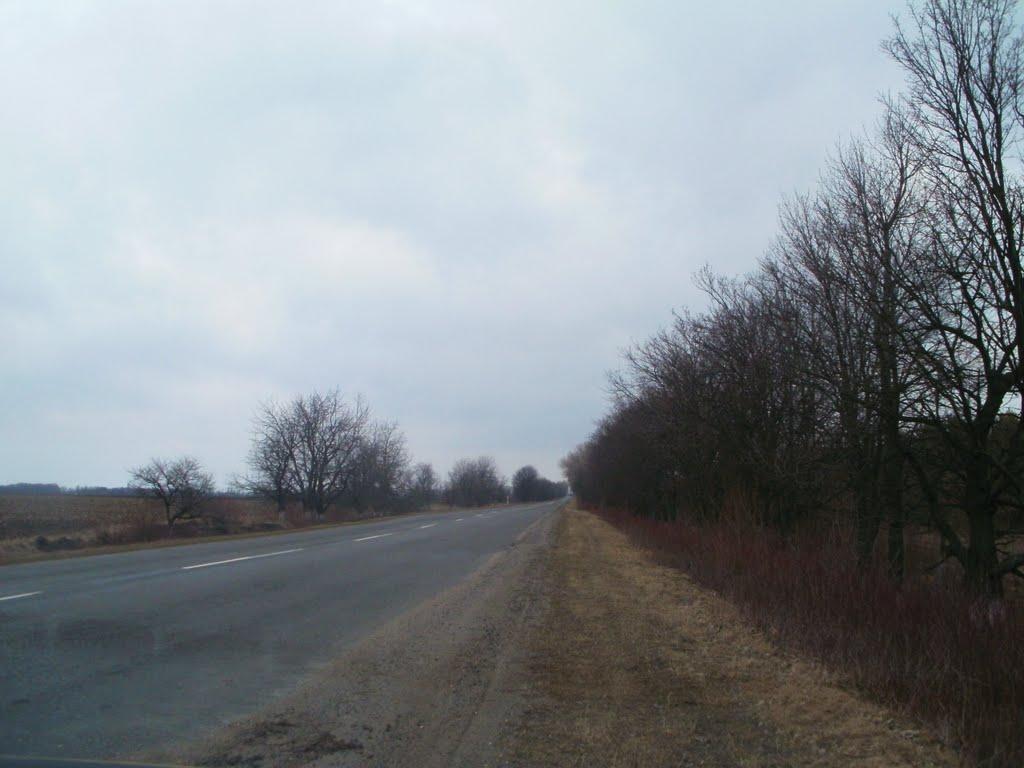 Цвіліхівка з panoramio.com - Цвіліхівка