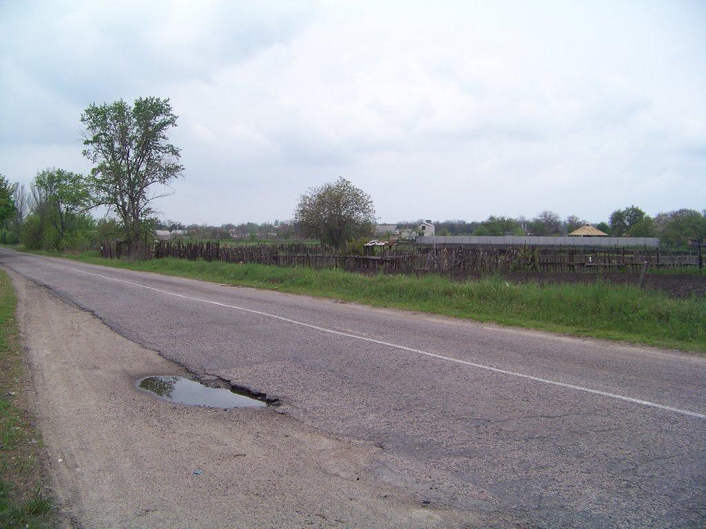 Канівське з panoramio.com - Каневское