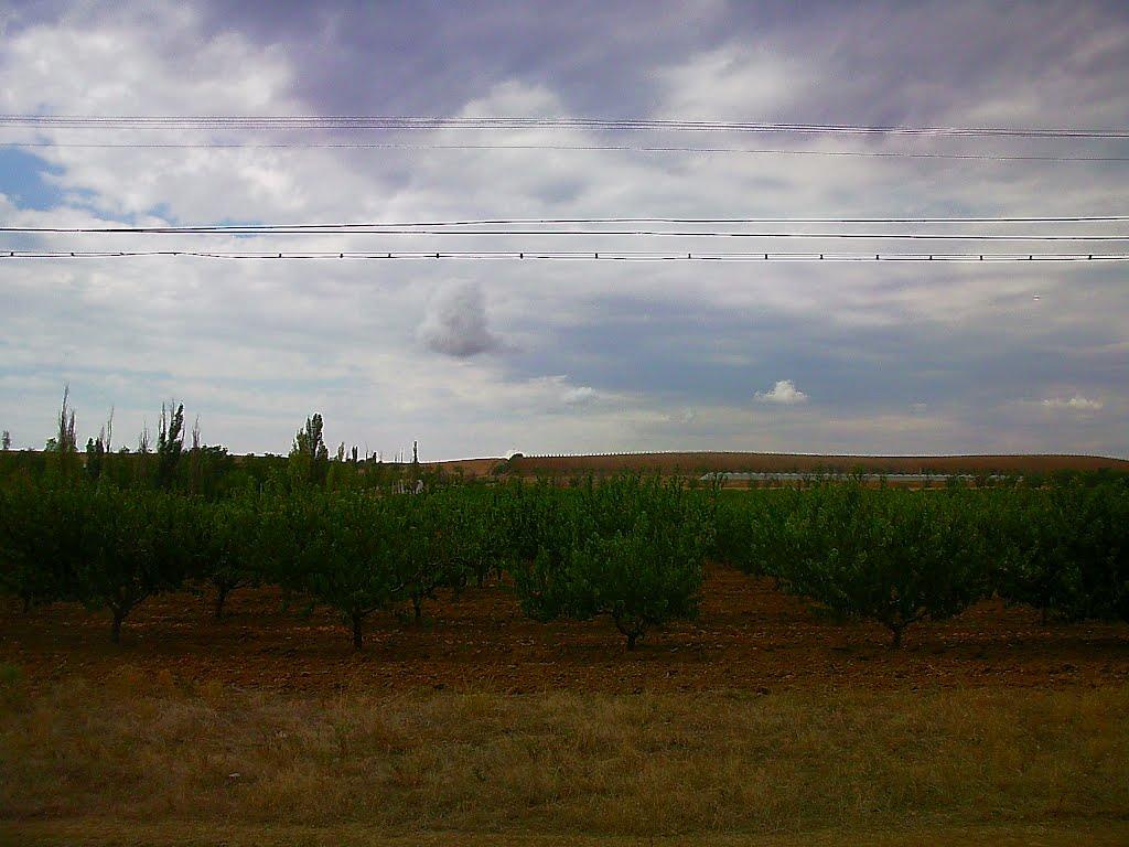 Шевченкове з panoramio.com - Шевченково