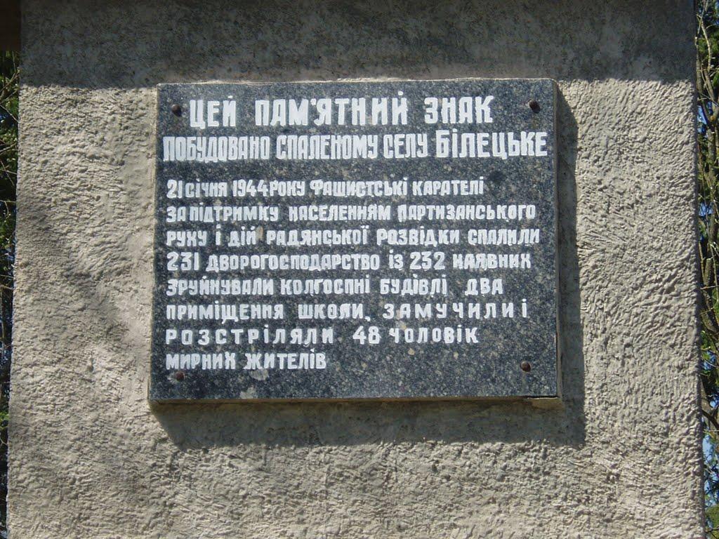 Білецьке з panoramio.com - Білецьке