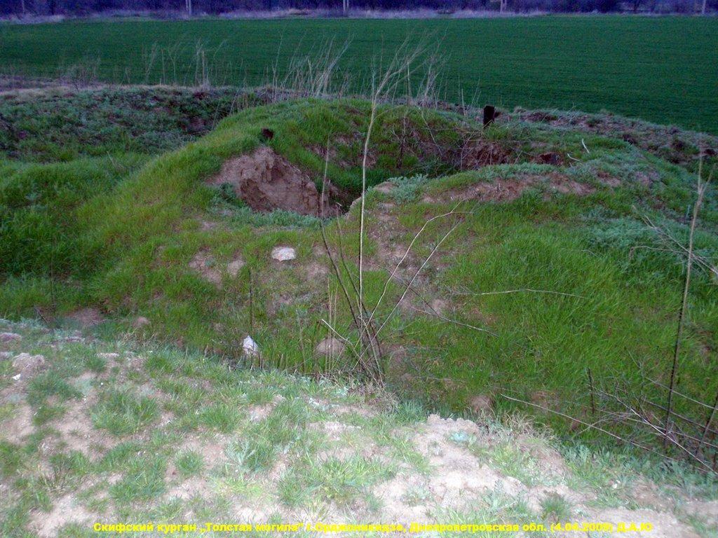 Орджонікідзе з panoramio.com - Орджоникидзе