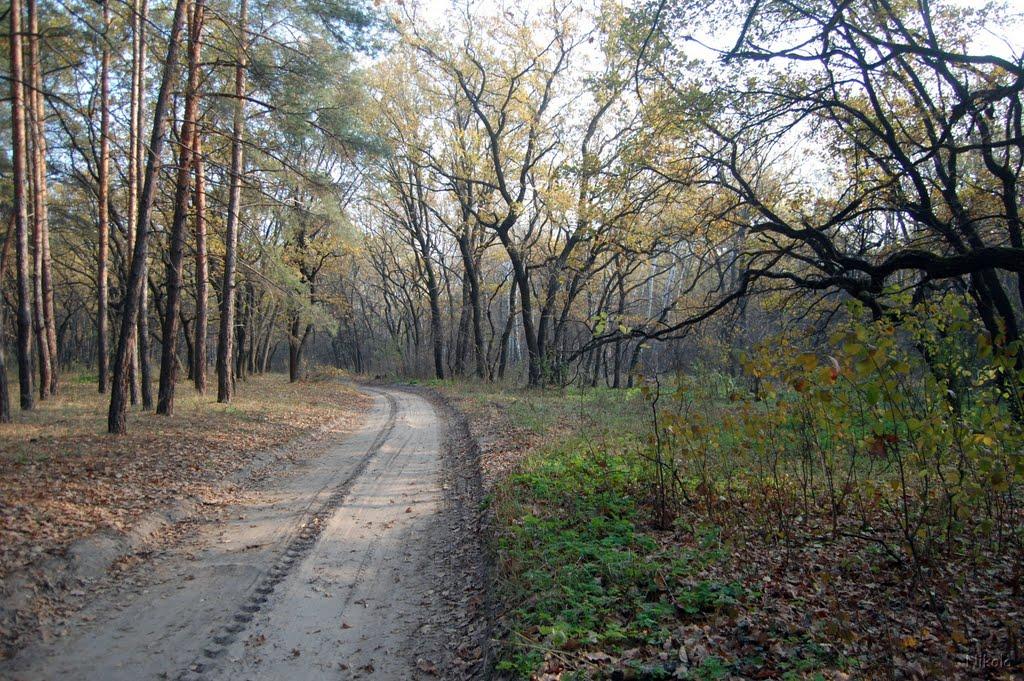 Осколонівка з panoramio.com - Осколонівка