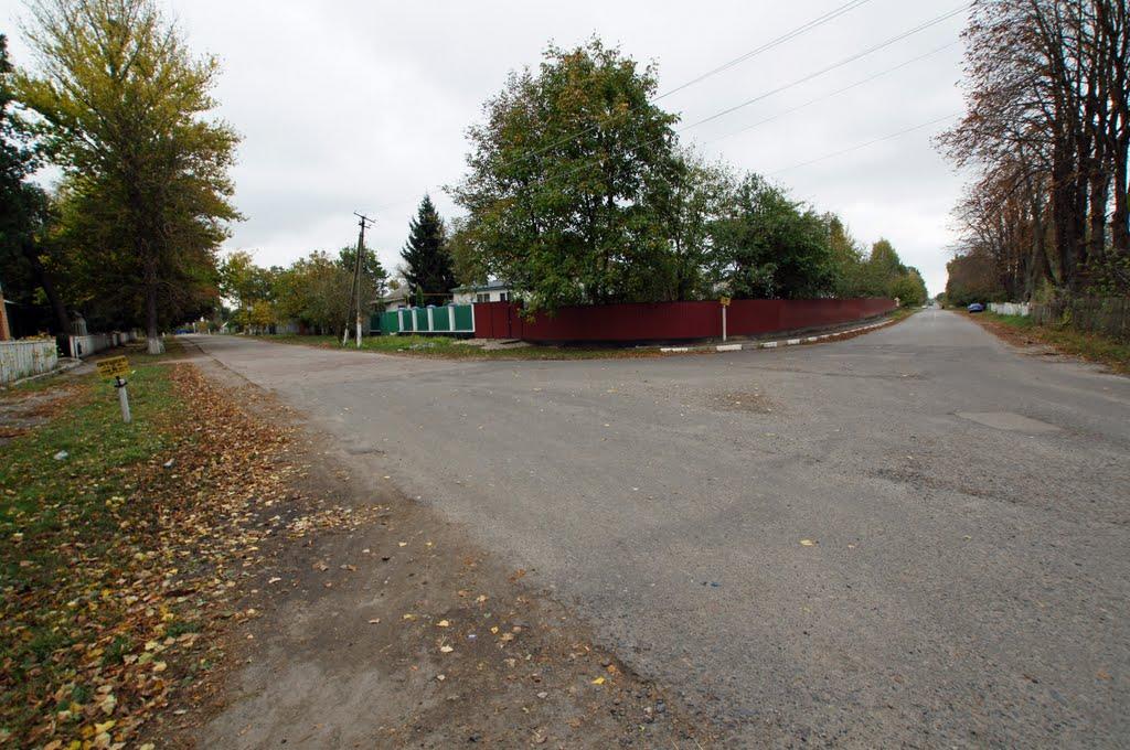 Витачів з panoramio.com - Витачев