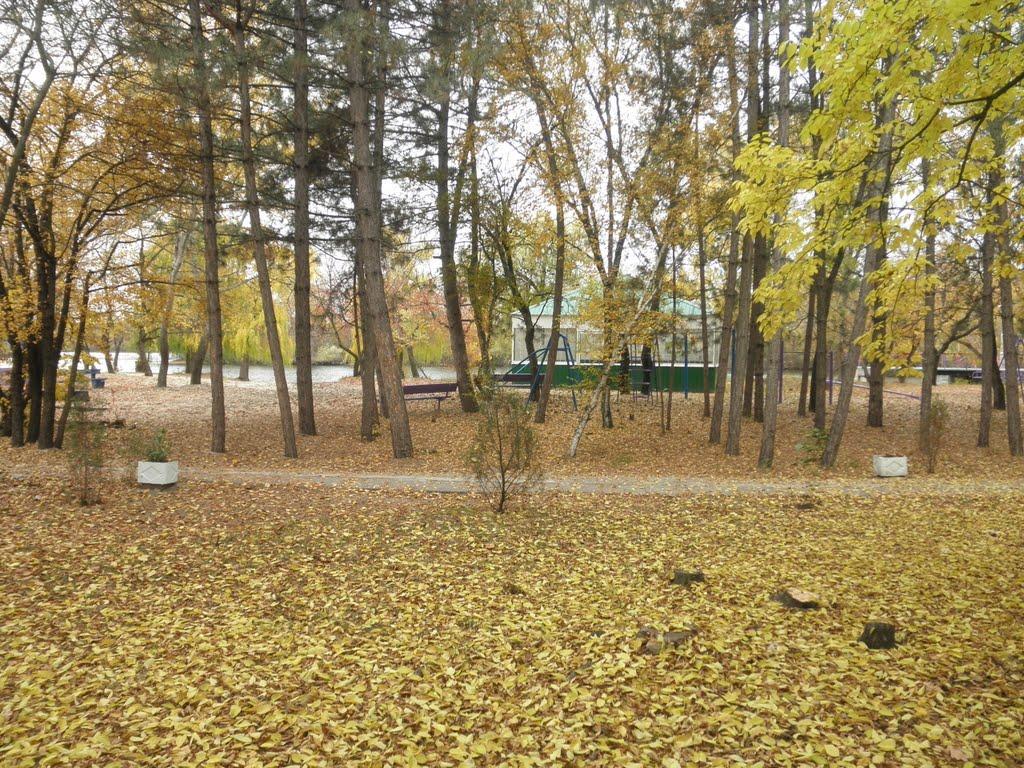 Канівське з panoramio.com - Каневское