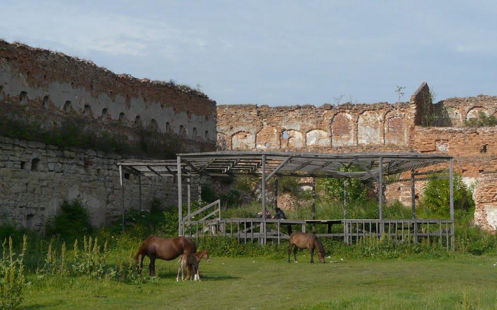 Старе Село з panoramio.com - Старое Село