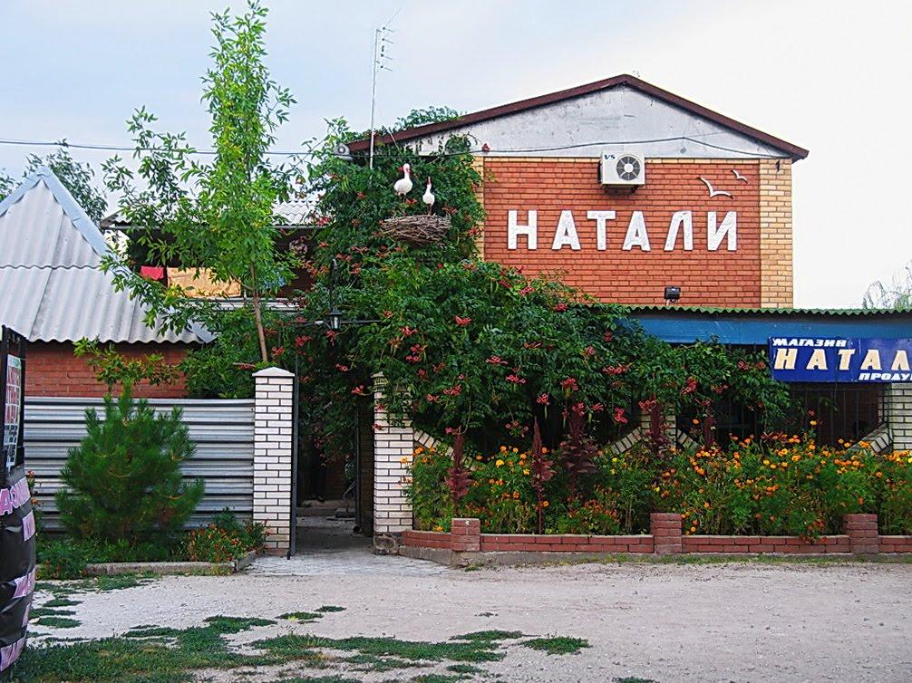 Юр'ївка з panoramio.com - Юрьевка