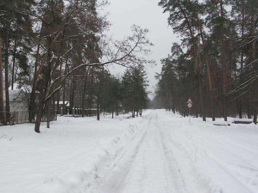 Горенка з panoramio.com - Gorenka