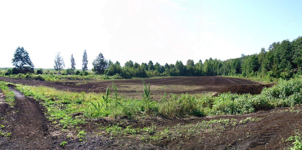 Смолин з panoramio.com - Смолин