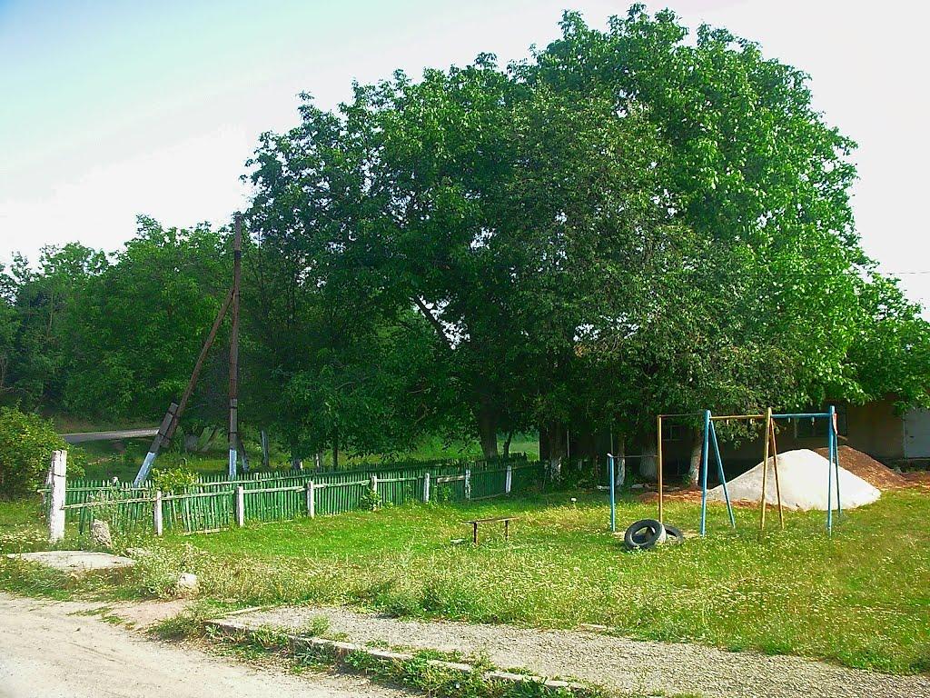 Краснолісся з panoramio.com - Краснолесье