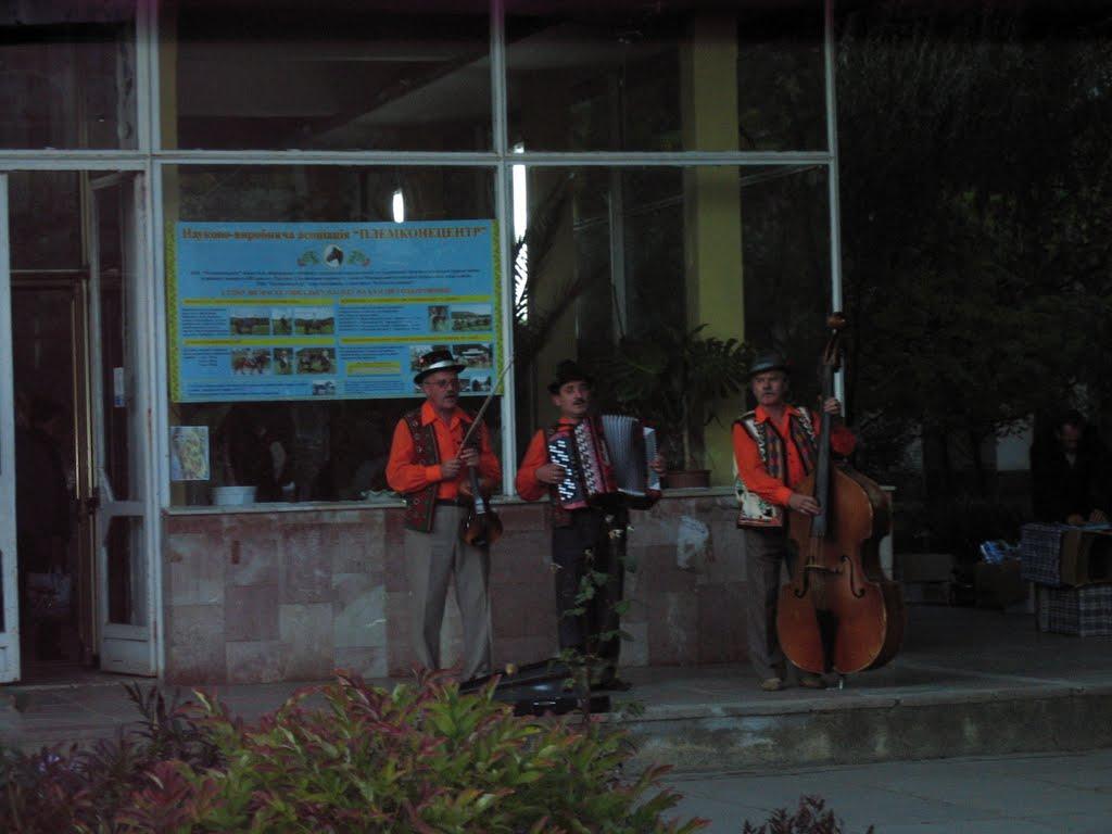 Солочин з panoramio.com - Солочин