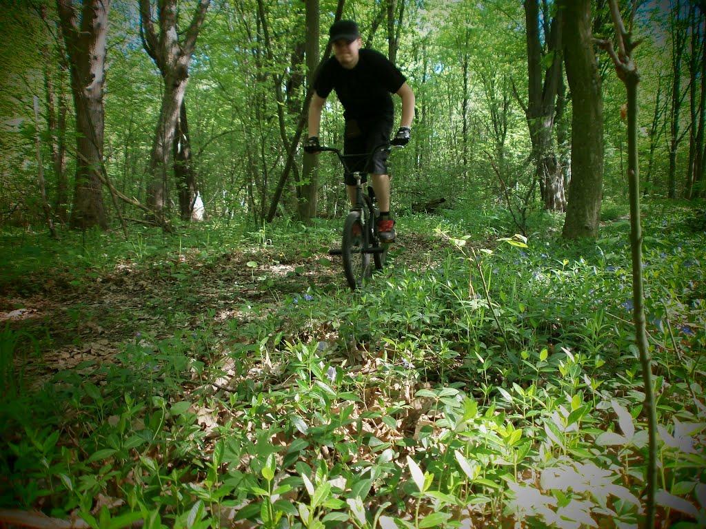 Турійськ з panoramio.com - Турійськ