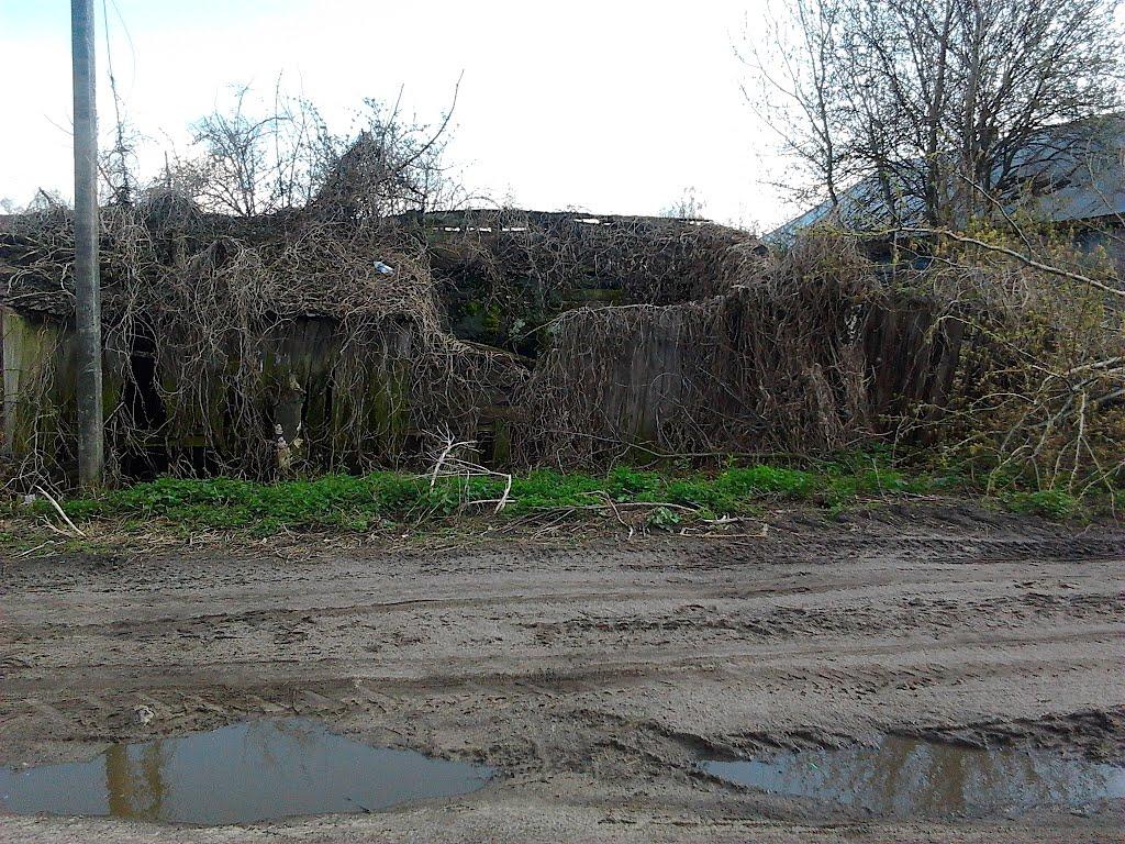 Слоут з panoramio.com - Слоут