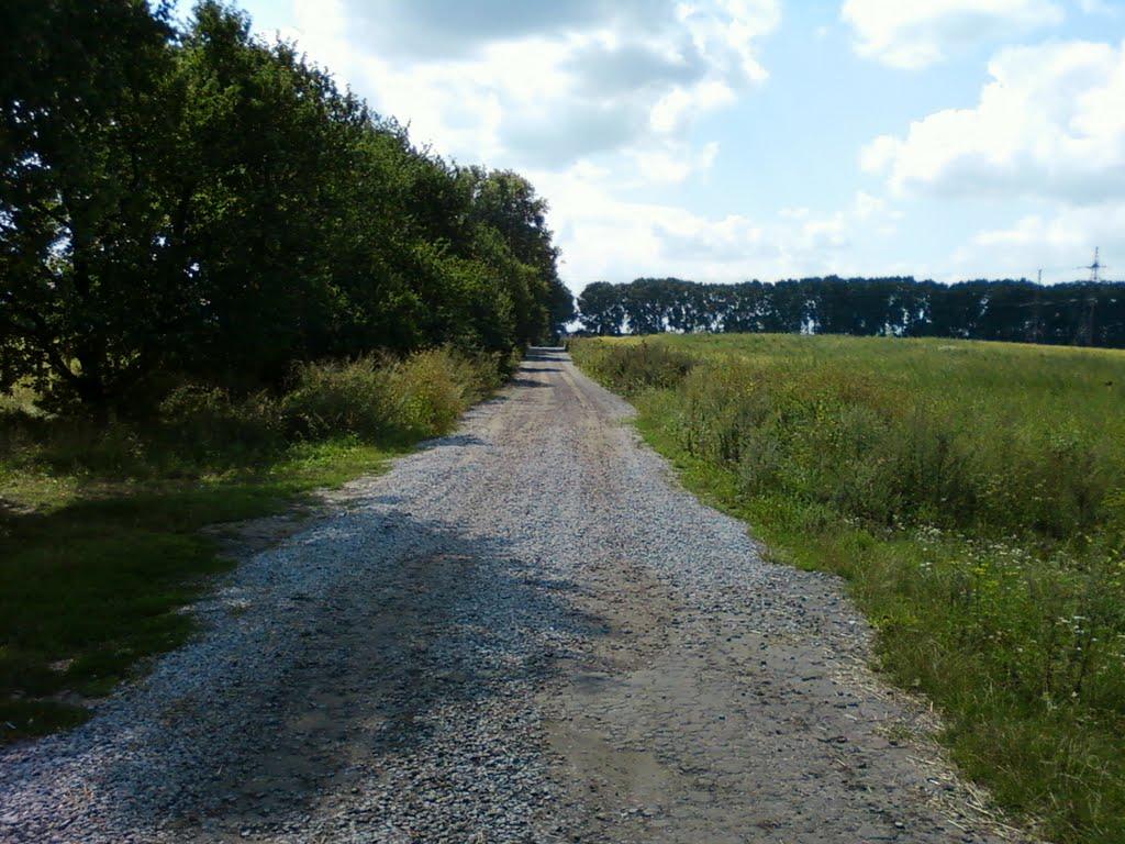 Сальник з panoramio.com - Сальник