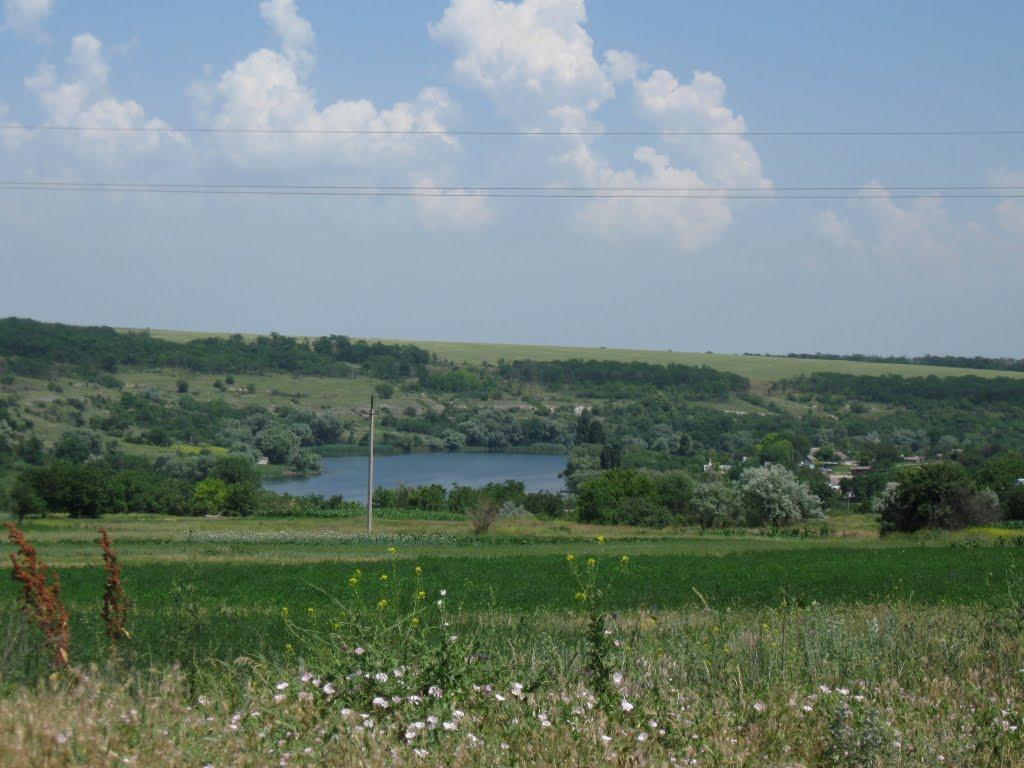 Осокорівка з panoramio.com - Осокоровка