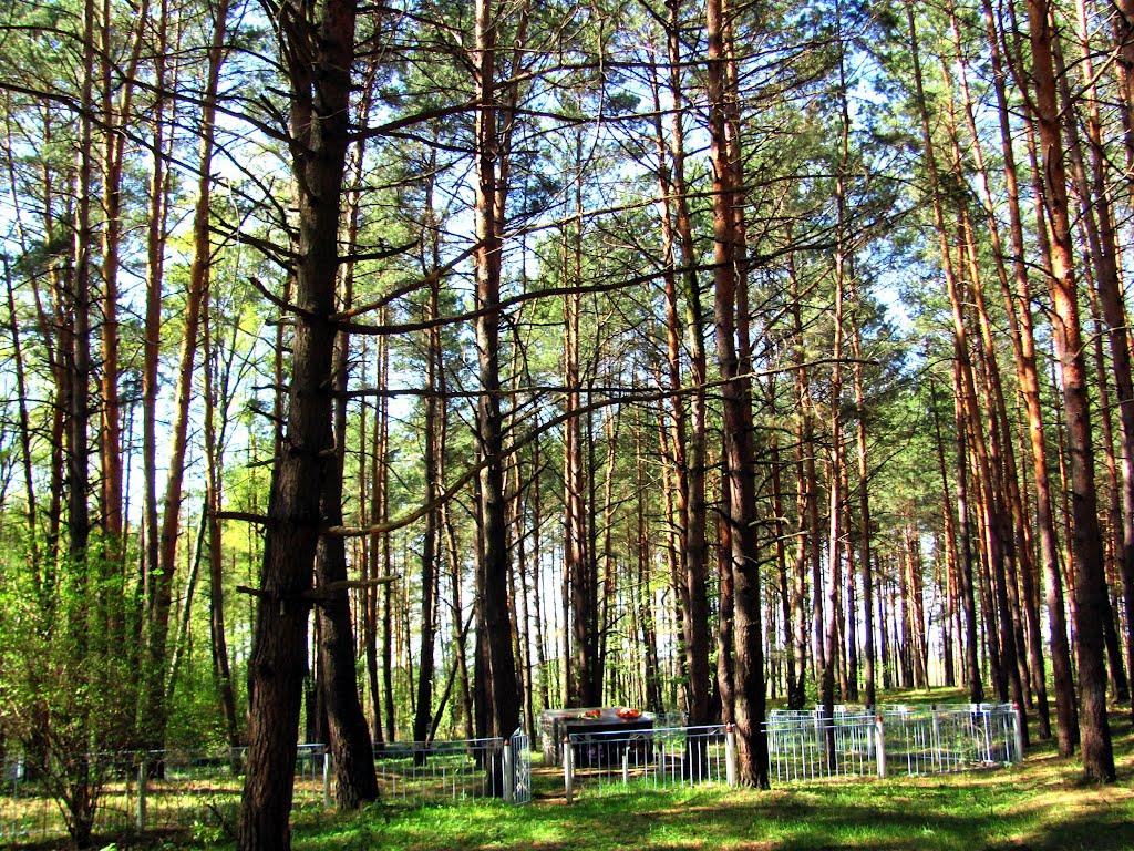 Суховоля з panoramio.com - Суховоля