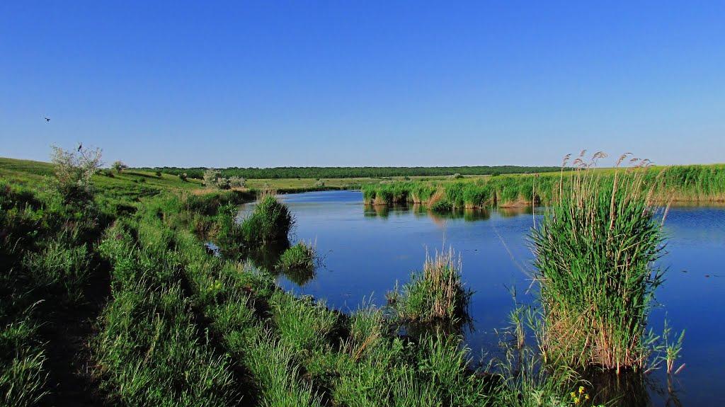 Олександрівка з panoramio.com - Oleksandrivka