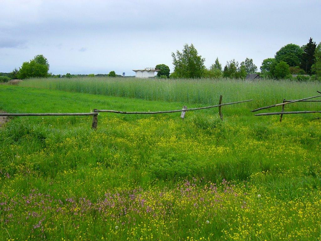 Жабоч з panoramio.com - Жабоч