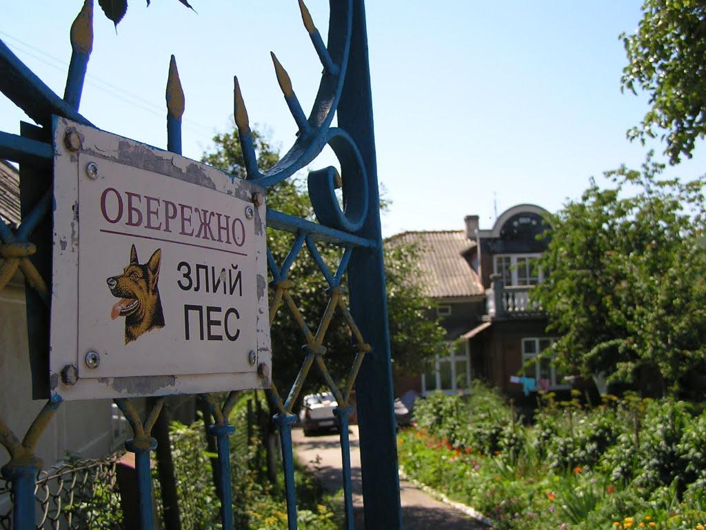 Чортків з panoramio.com - Chortkiv