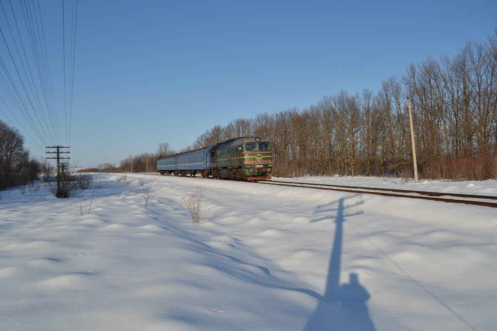 Нелипівці з panoramio.com - Нелиповцы