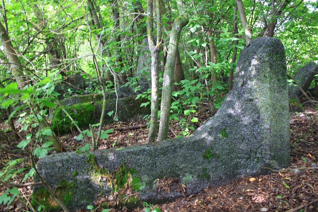 Троянів з panoramio.com - Троянів