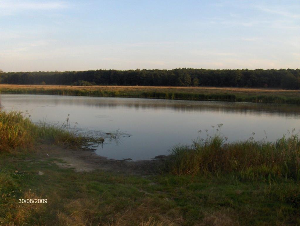 Зрайки з panoramio.com - Зрайки