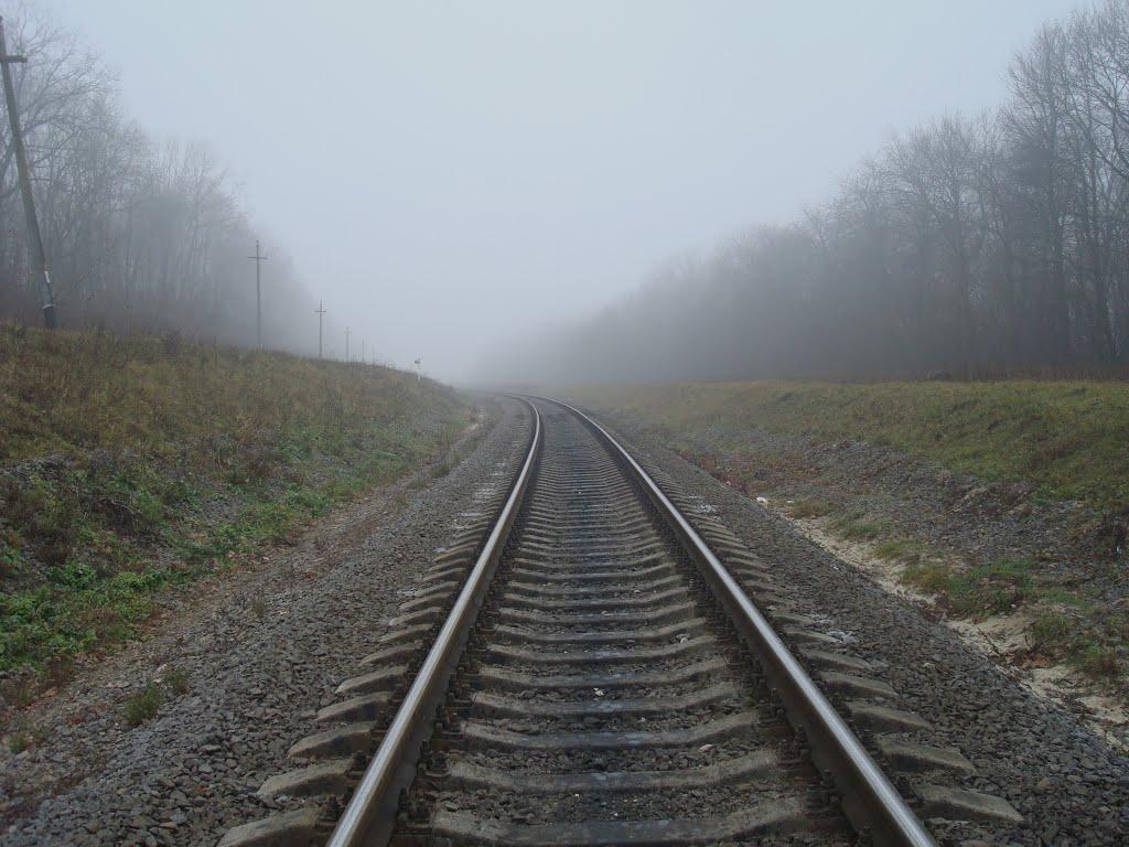 Томашівка з panoramio.com - Томашівка