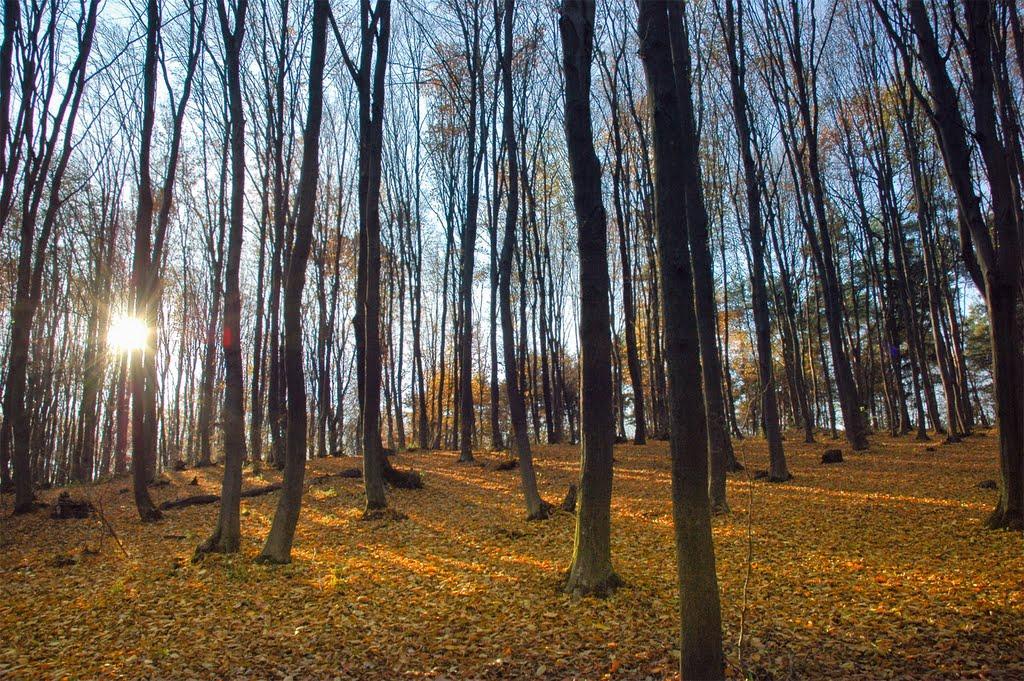 Хижинці з panoramio.com - Хижинці